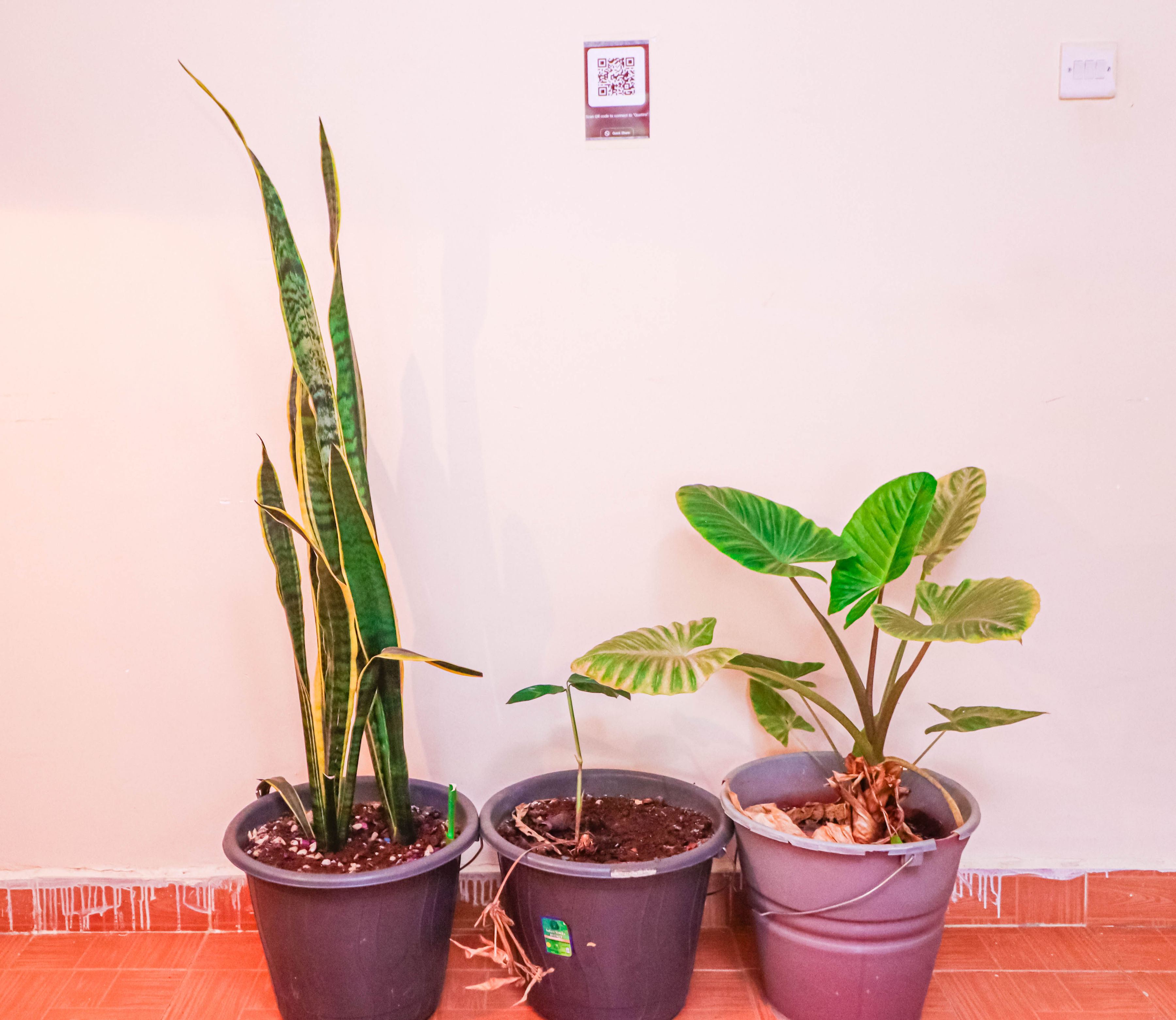 Floor 1 · Decor & Garden